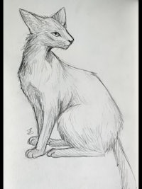 a drawing of a cat sitting on the ground