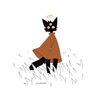 a black cat in a brown cloak standing in a field